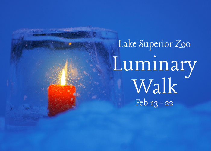 luminary-walk-700-x-500-px-1